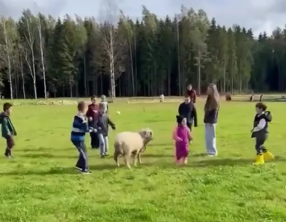 Лучший тренер по ОФП