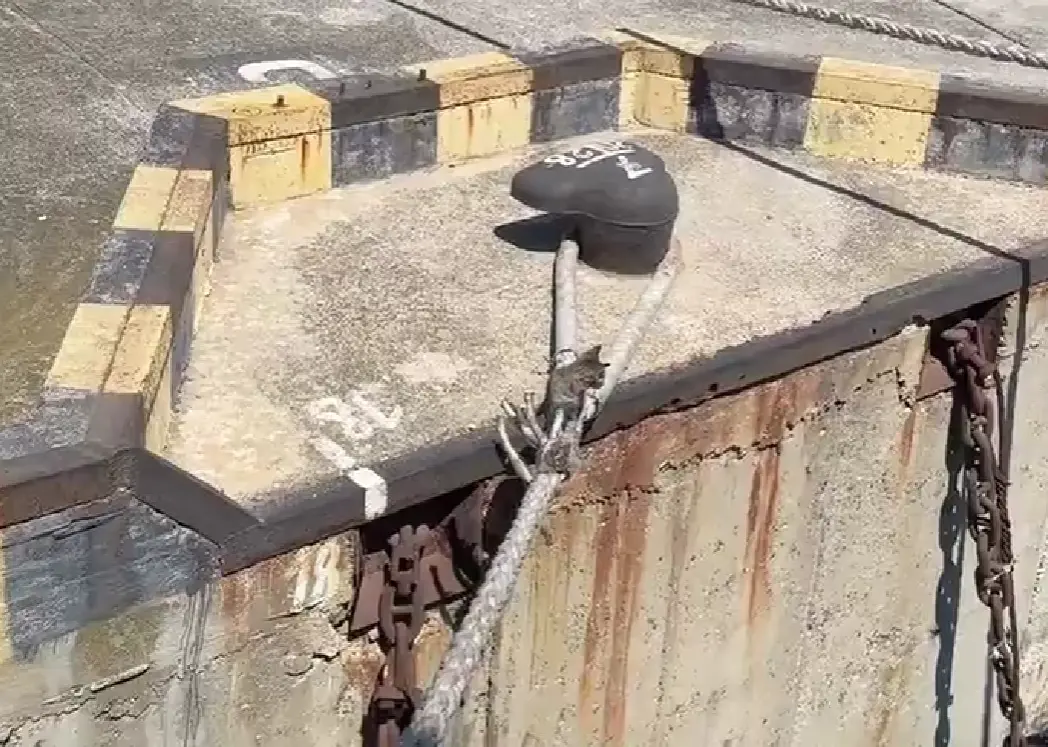 Настоящий кот Матроскин