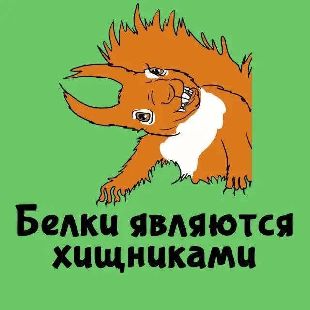 Интересные факты на все случаи жизни