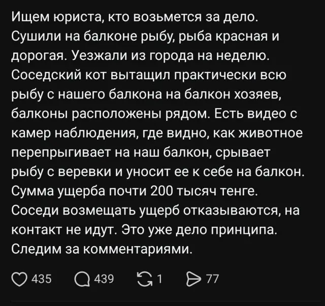 Ситуация