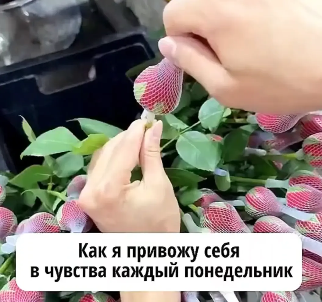 Ну как вы там?)