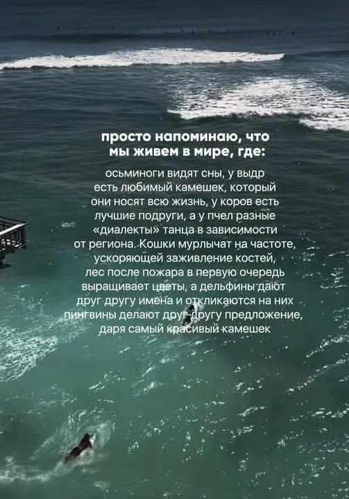 Когда многого не знаешь⁠⁠