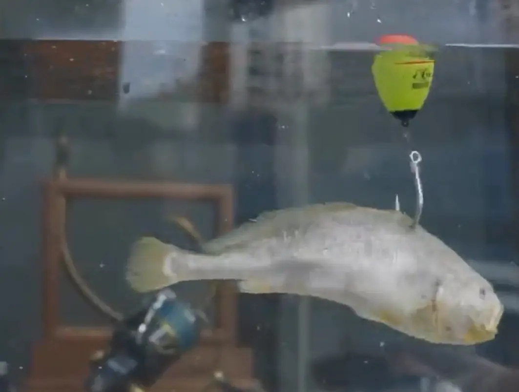 Девайс Kanama Smart Bait «оживляет» мертвую рыбу