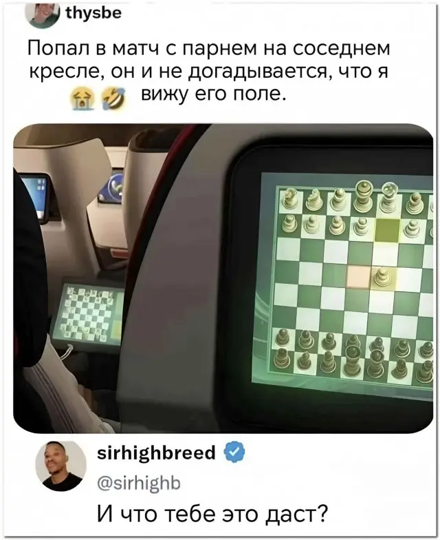 Шахматы⁠