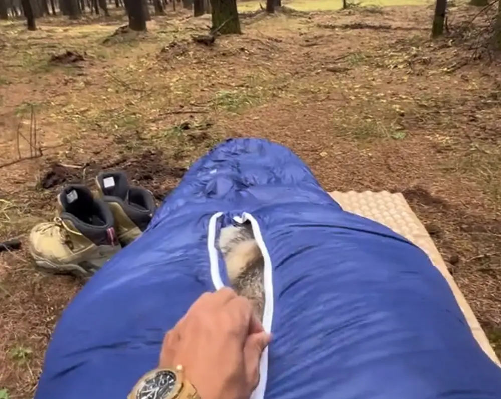 А засыпал без собаки изначально)⁠⁠
