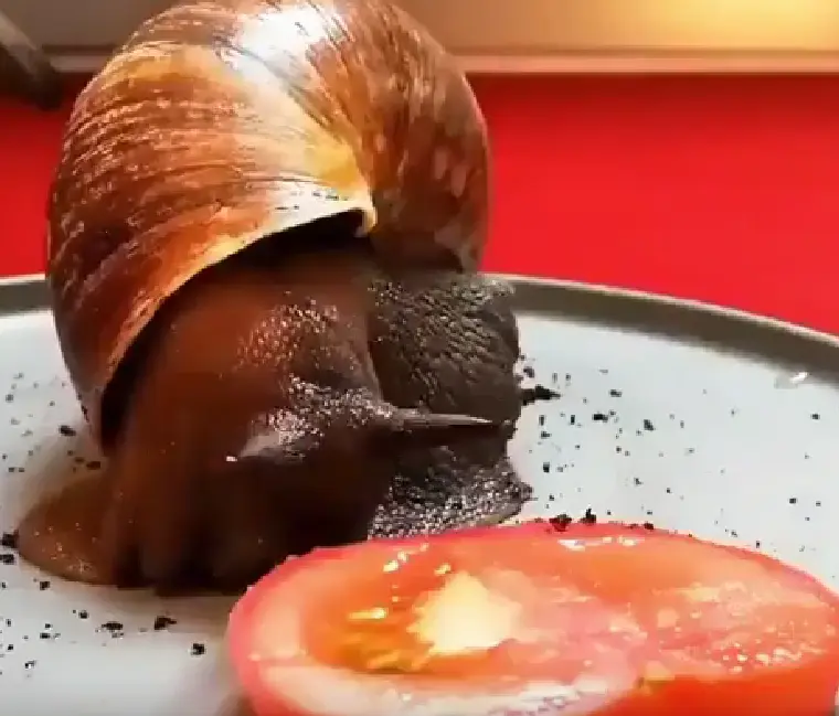 Прожора!