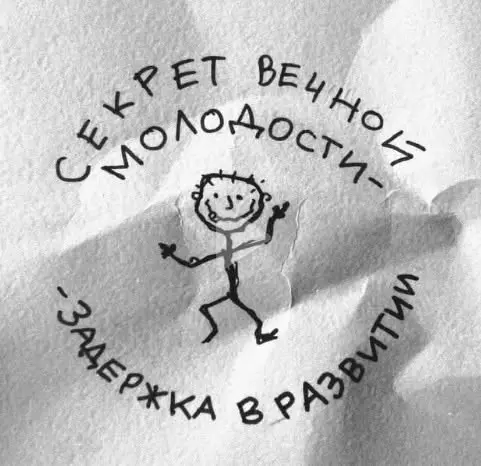 Разные картинки