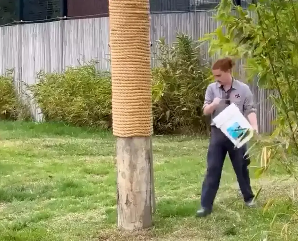 Высоко лежит⁠⁠
