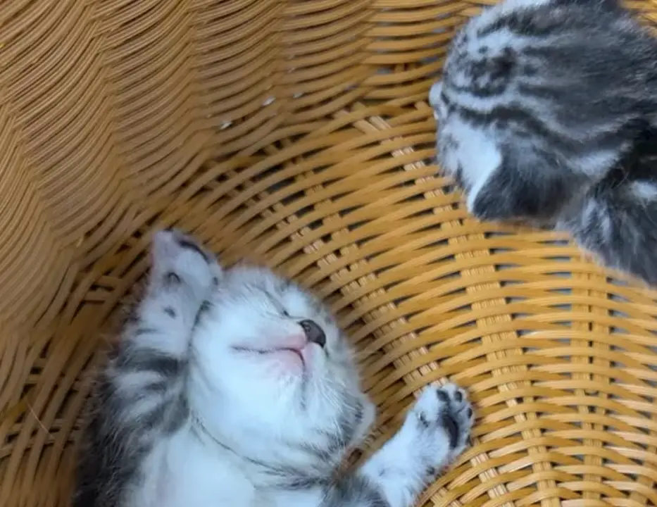 Мягкое пробуждение⁠⁠