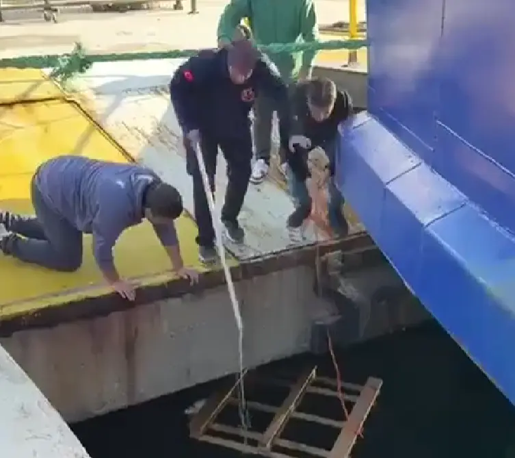Спасли попавшего в беду котёнка⁠⁠