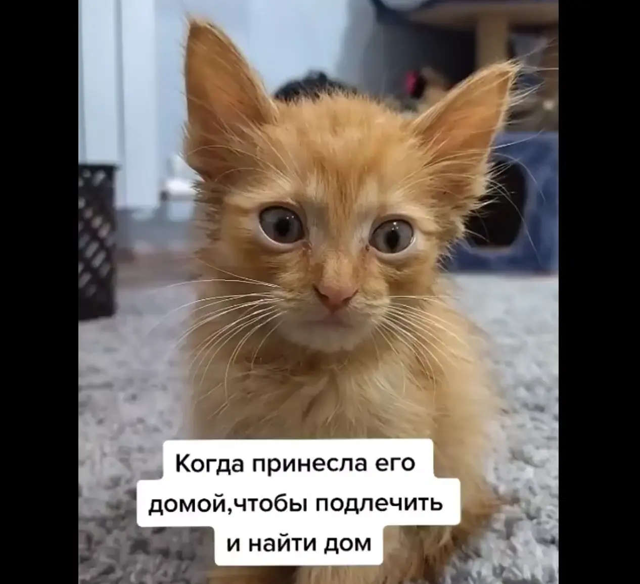 Было-стало⁠⁠