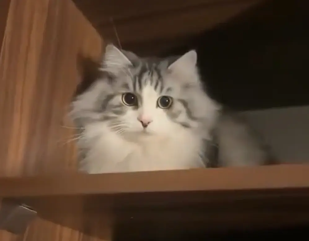 Я в шоке⁠⁠