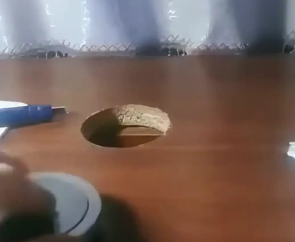 Коту виднее, как правильно⁠⁠