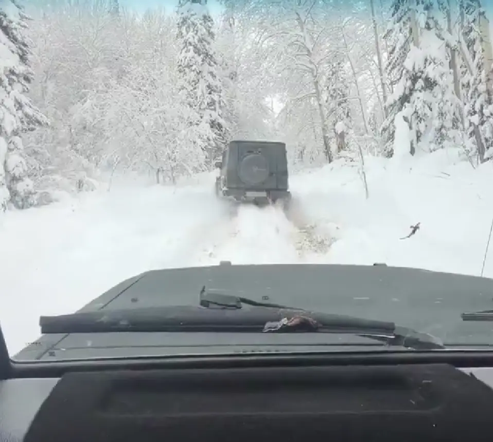 Когда Гелик куплен по назначению