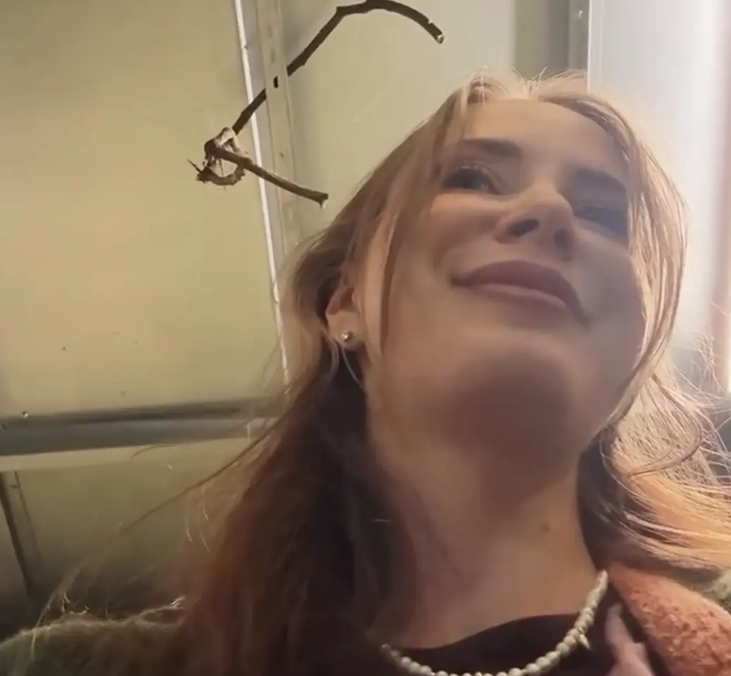 Купила беременную мышку
