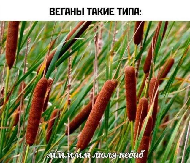 Разные картинки