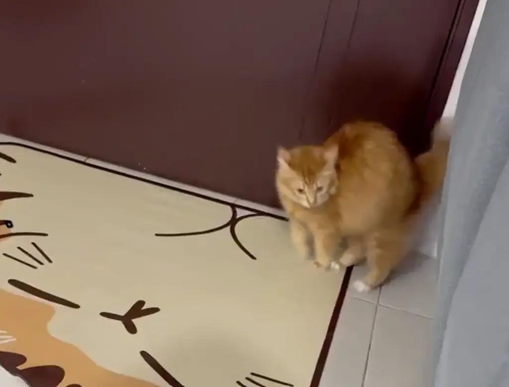 Рыжие, что у них в голове?⁠⁠