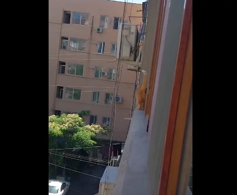 Задний ход