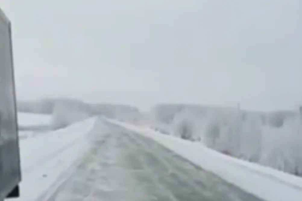 Оптимист
