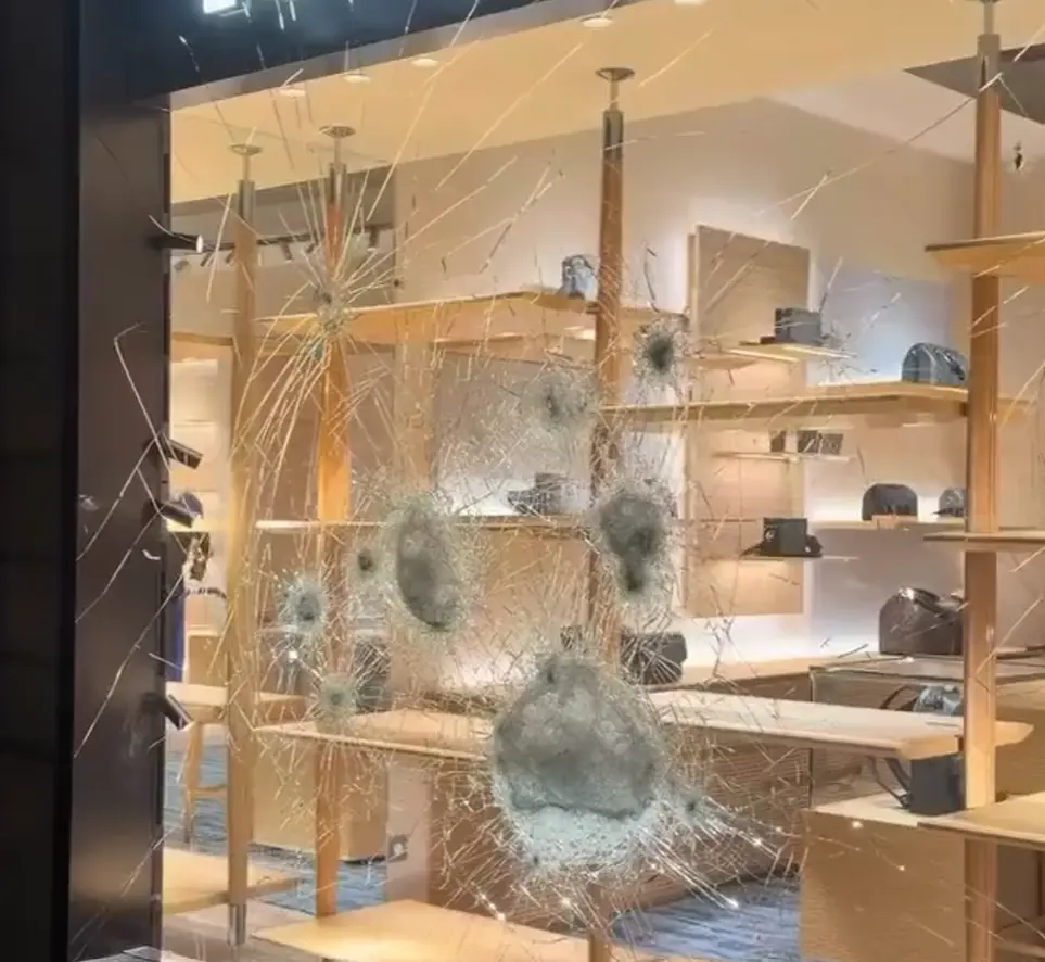 Louis Vuitton⁠⁠