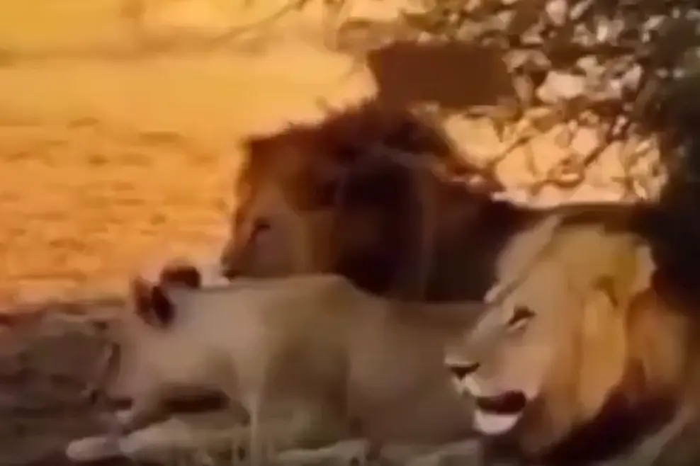 А что это сейчас было?⁠⁠