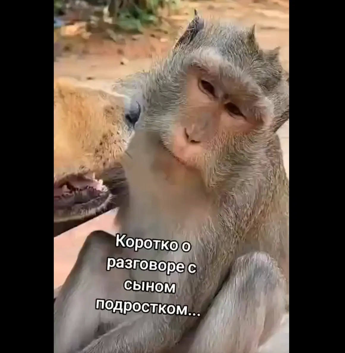 Современные подростки...