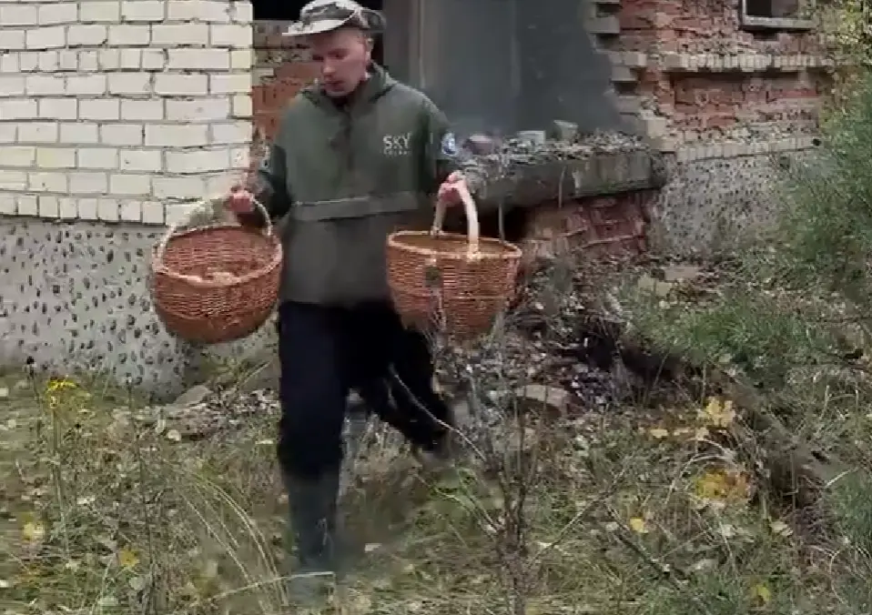 Уровень радиации в грибах Чернобыльской зоны