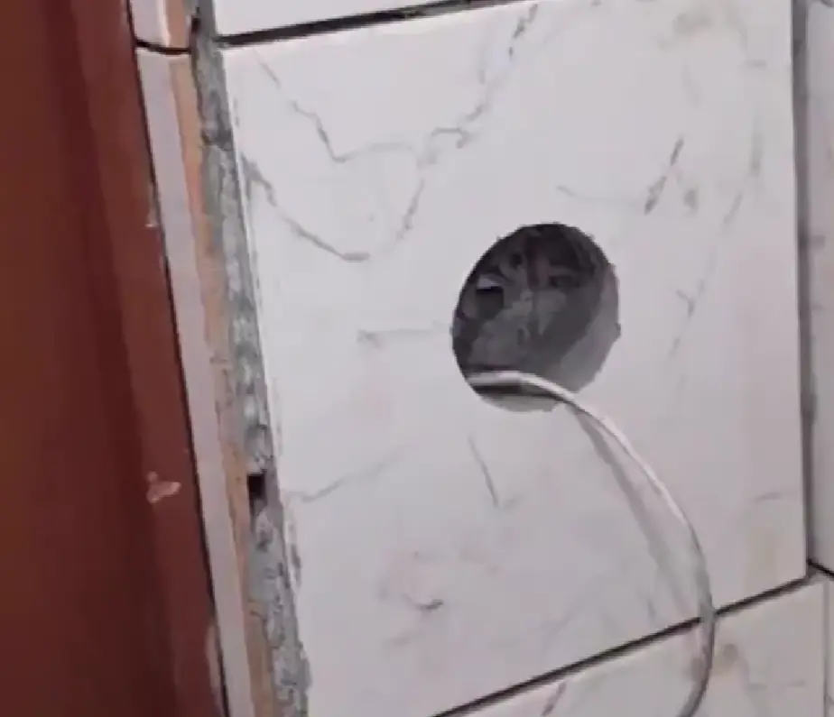 Зато все сам