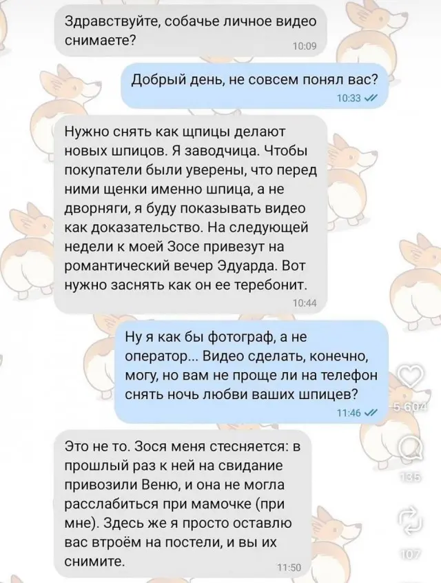 Про хоумвидео