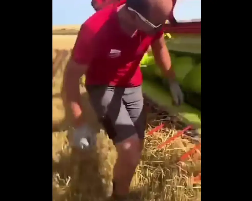 Все будет хорошо