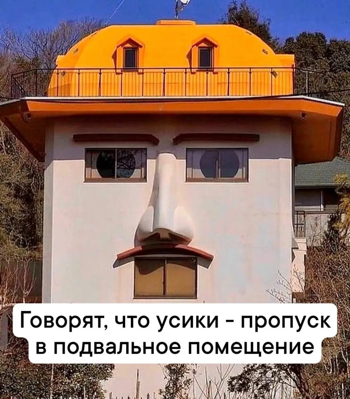 Да что там у них происходит?