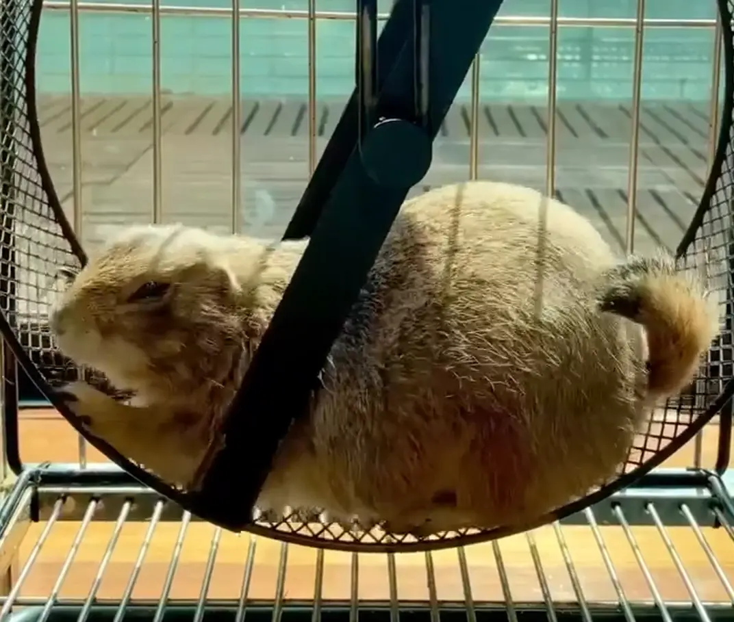 Когда купил новый домашний тренажер⁠⁠