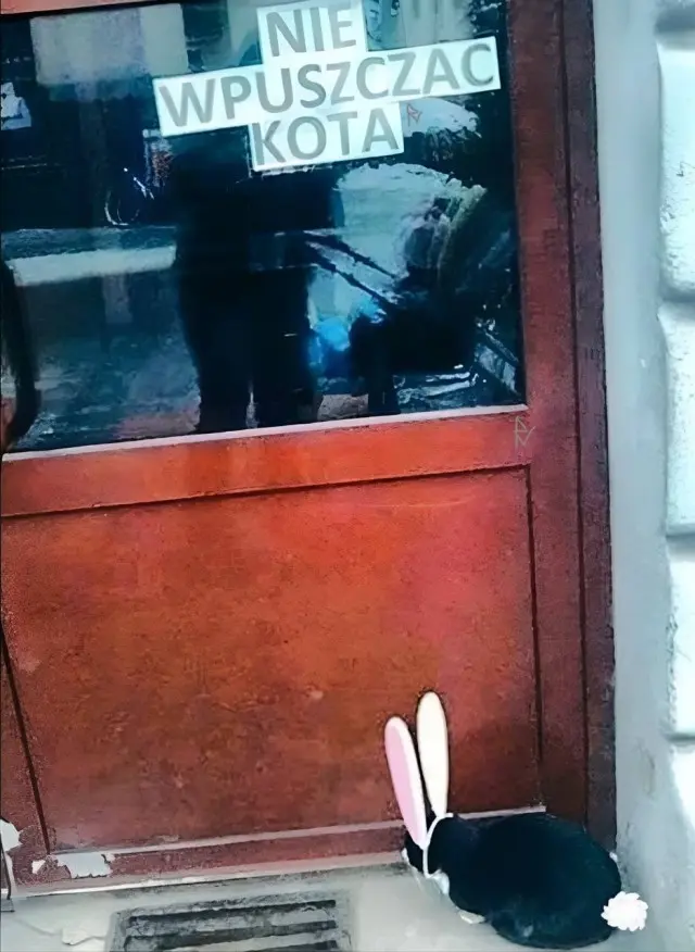 Разные картинки