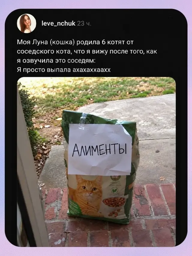 Алименты