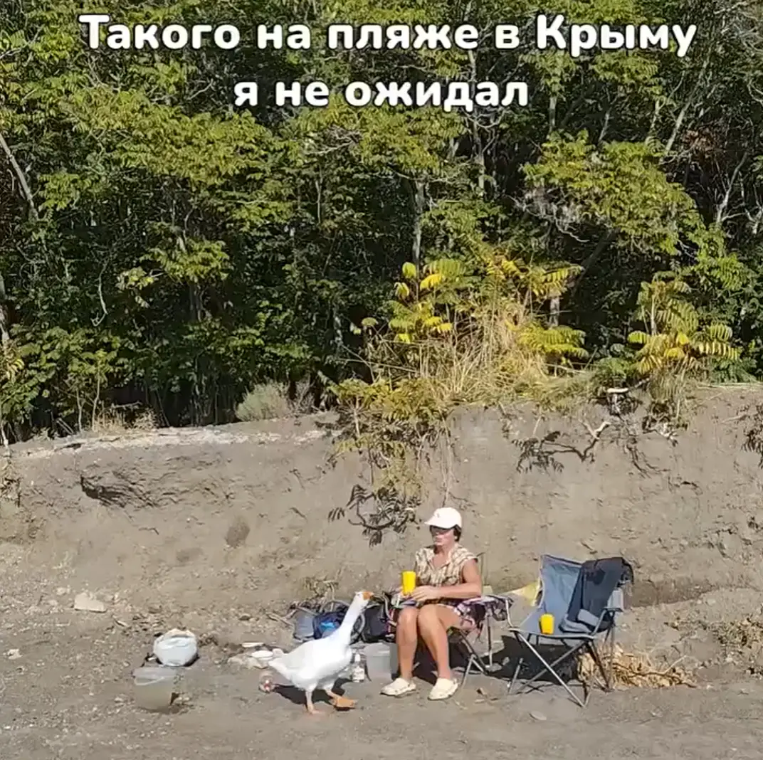 Я его немножечко нервирую