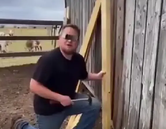 Добегался