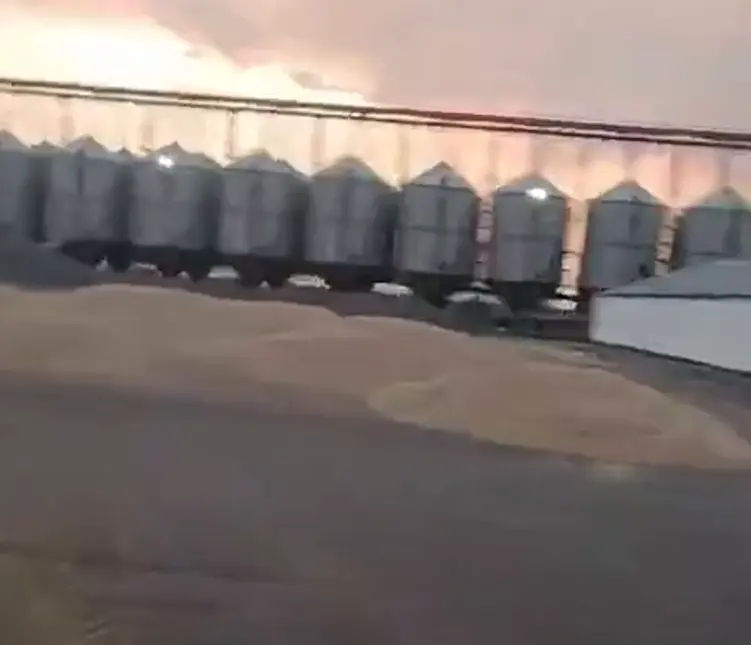 Голубцы⁠⁠