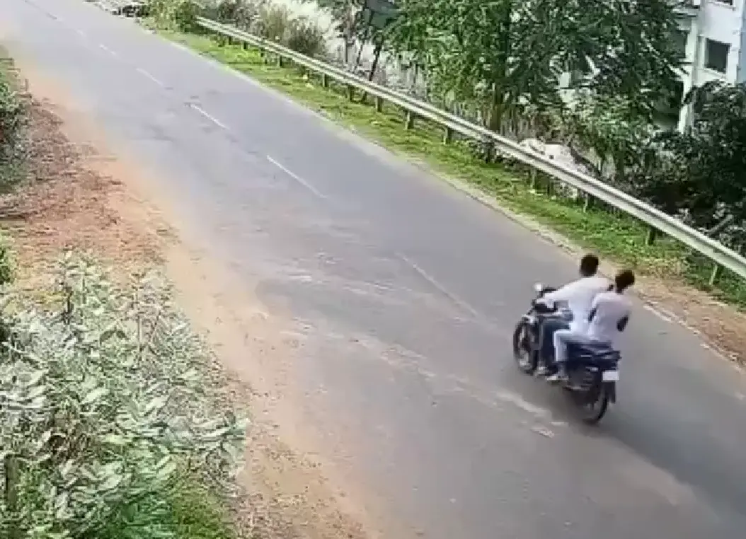 Даже собакен в шоке