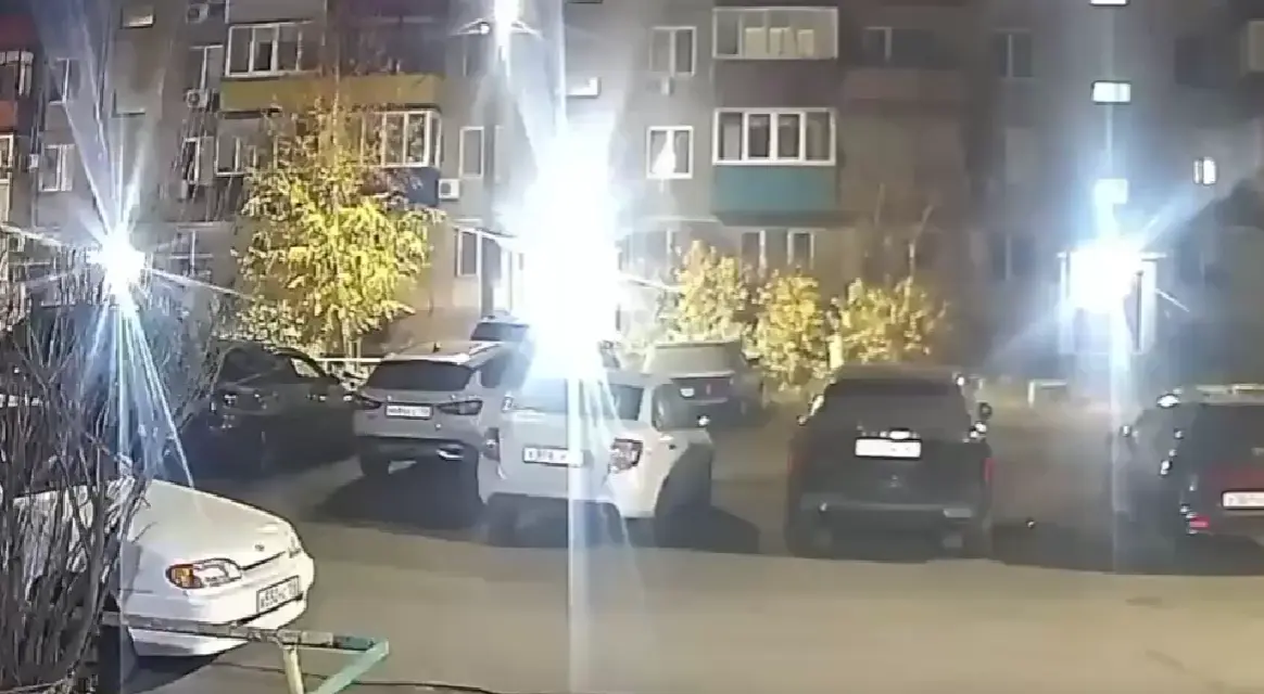 Вы рыбов продаете?