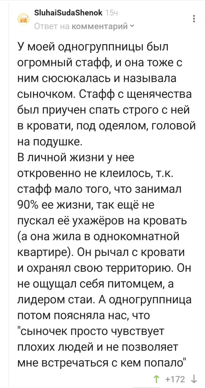 "Стафф" заменить на "скуф" и будет похорошо