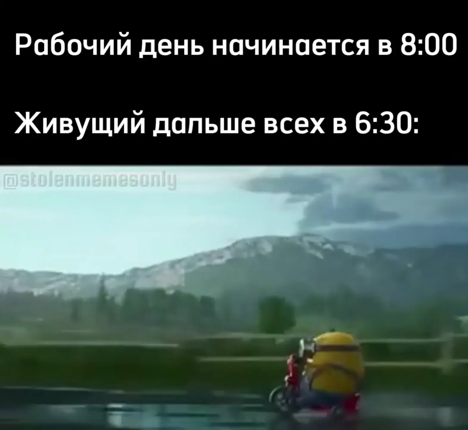 Жиза