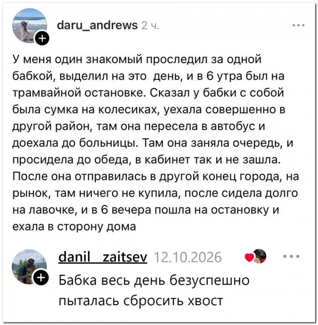 «Хочу так жить, чтобы выделить день на слежку за бабкой»