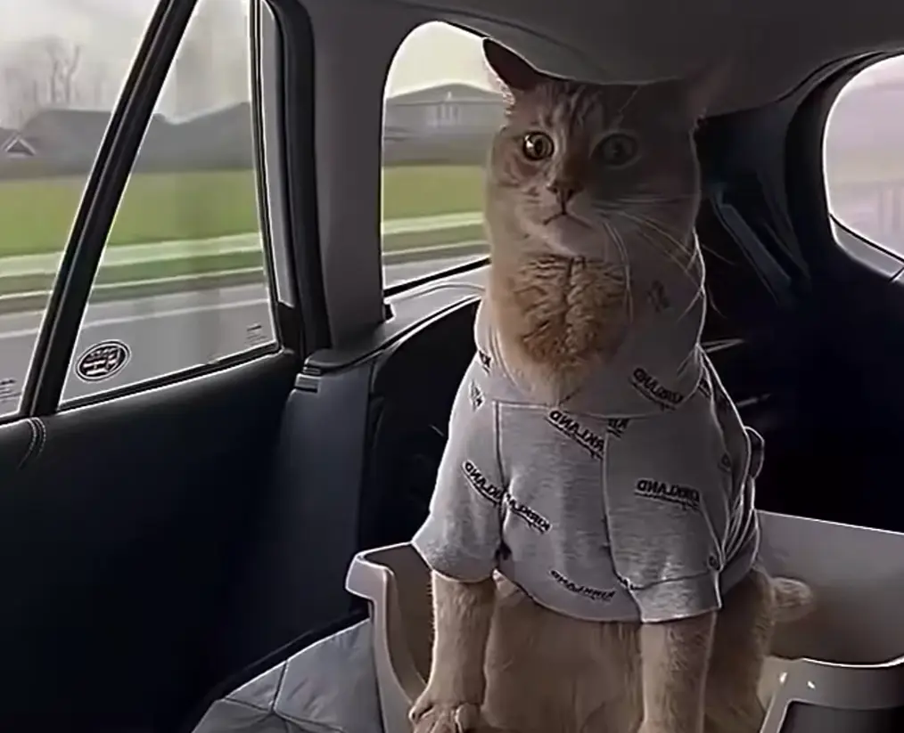 Туалет в дороге⁠⁠